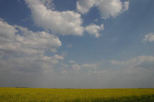 Campagna Serba Campagna Serba
